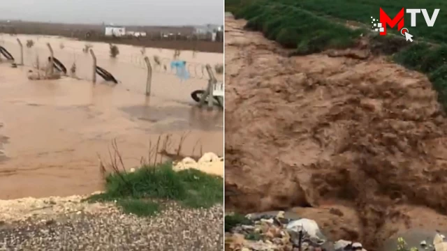 Urfa'da şiddetli yağış sele neden oldu