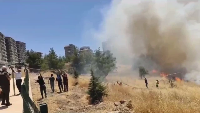 Urfa’da Orman Müdürlüğü’nün bahçesinde yangın çıktı